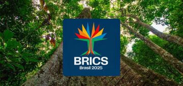 Nigéria entra no Brics como "parceiro", ao lado de Cuba e outros sete países