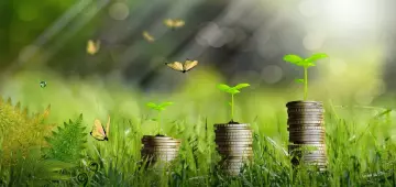 Sem relatório, sem negócio: a era da transparência na economia verde