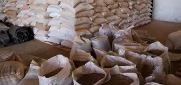 Camex aprova isenção do imposto de importação para 9 alimentos