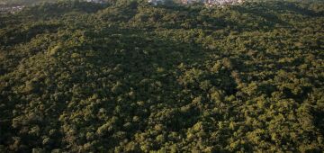 Iron House transforma espaços urbanos com inovação e sustentabilidade