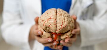 Esclerose múltipla e Alzheimer: cientistas descobrem por que o cérebro das mulheres tem maior risco