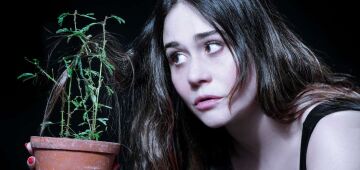Alessandra Negrini fala sobre "A árvore", peça que traz ao Recife: "É uma explosão"