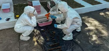 Equipe encontra memorial para mortos da ditadura em deterioração no Rio de Janeiro