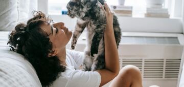 Mais atenção, mais dependência: estudo identifica mudanças em gatos no pós-pandemia