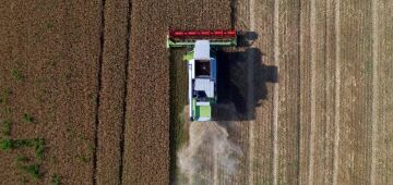 Governo anuncia subvenção de R$ 167 milhões para equalização de preço de arroz e trigo