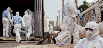 Ucrânia anuncia que recebeu 1.003 corpos da Rússia