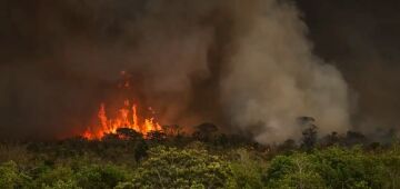 Ano de 2025 é quinto com maior área atingida por queimadas até agosto