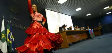 Líderes dos povos ciganos e aliados se mobilizam por direitos