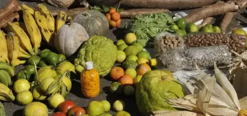 Ministério do Trabalho publica edital do Programa Coopera Mais Brasil