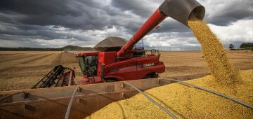 Queda no preço dos alimentos vai permanecer, diz ministro