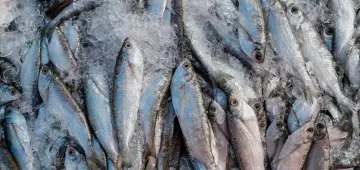Abipesca pede que pescados brasileiros sejam excluídos de investigação sob Seção 301