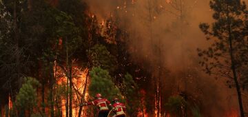 Incêndios florestais deterioram a qualidade do ar a quilômetros de distância, alerta ONU