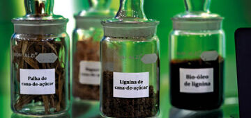 Biomassa: estratégia na transição energética