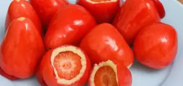 Retrospectiva TikTok 2025: saiba quais foram as principais trends do ano