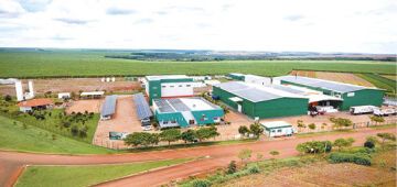 Solubio e AgroField: soluções biológicas sustentáveis