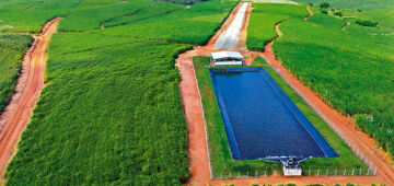 Usina Olho D'Água: pioneirismo e produtividade