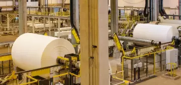 EUA retiram taxa das exportações nacionais de celulose e ferro-níquel