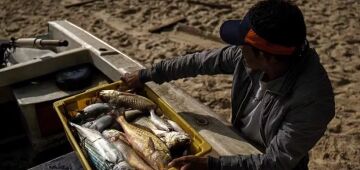 Estudo aponta pagamento indevido de R$ 9 bilhões em seguro-defeso entre 2013 e 2024