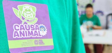 Jaboatão realiza vacinação de Cães e Gatos neste sábado (20)