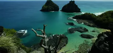 Quase 50% dos turistas usam redes como fonte de informação de viagem