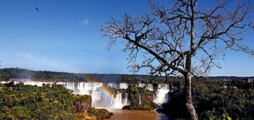 Combustíveis do futuro