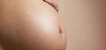 Estudo busca eliminar transmissão vertical de vírus que causa leucemia