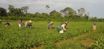 Lista de desconto em crédito para a agricultura familiar é ampliada