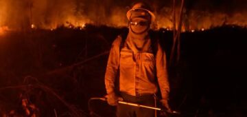 Governo publica regras para prevenção de incêndio florestal em propriedades rurais