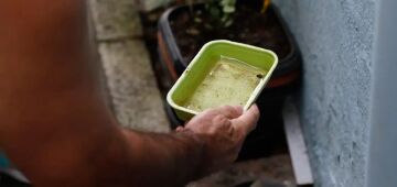 Chikungunya traz preocupações após uma década de presença no Brasil