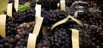 BNDES aprova R$ 1,2 bi para empresas afetadas pelo tarifaço