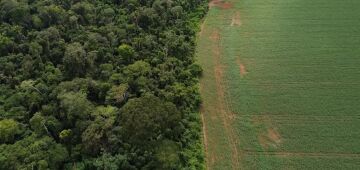 Estados e DF devem padronizar Autorização de Supressão de Vegetação
