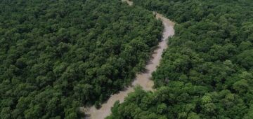 Programação do Dia da Amazônia mobiliza para COP30