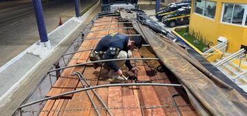 Sertão de Pernambuco: PRF realiza maior apreensão de madeira ilegal em rodovias federais da história