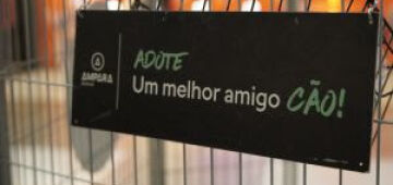 Abrigo Pegadas de Anjo realiza feira de adoção de cães e gatos no próximo dia 20