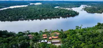 BNDES lança edital voltado para recuperação da floresta amazônia