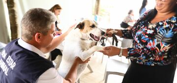 Jaboatão dos Guararapes retoma canal exclusivo para denúncias de maus-tratos a pets