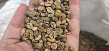 Ministério da Agricultura apreende no 2,4 t de café impróprio para consumo no RJ