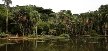 Concurso de Fotografia integra programação do Dia Mundial da Limpeza