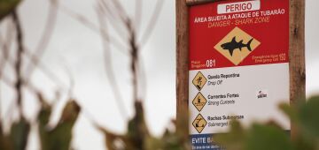 "Operação Verão" dos Bombeiros começa nesta sexta (5); veja como se prevenir de acidentes no mar