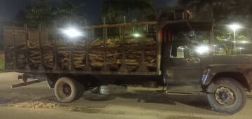 Carga ilegal de madeira é apreendida na BR-232, em Jaboatão dos Guararapes