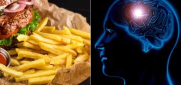 Dieta de junk food pode interromper rapidamente o processamento da memória, confirma novo estudo