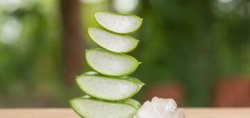 Conheça planta que ajuda a eliminar bolsas nos olhos, trata queimaduras e hidrata a pele