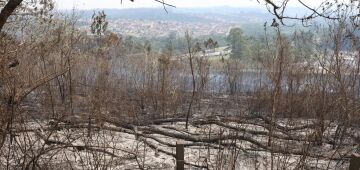Estudo aponta que financiamento climático no Brasil é desigual