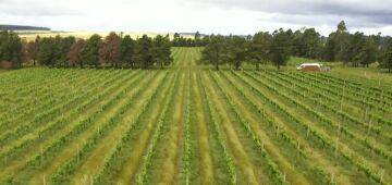 CMN amplia socorro a produtores afetados pelo clima