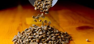 Efeito do tarifaço americano nas exportações brasileiras é menor do que o previsto