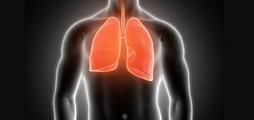 Ventilação enteral: conceito de "respirar pelo ânus" se aproxima de tratamento real; entenda