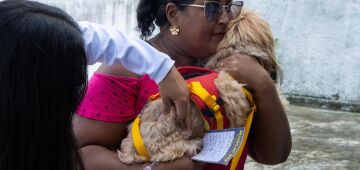 Recife, Olinda, Paulista e Bezerros realizam vacinação antirrábica neste sábado (1°)