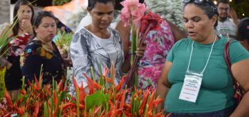 Ceasa-PE mantém operações e Reciflor amplia vendas no feriado