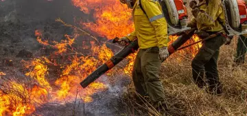 Pré-COP: Brasil propõe resposta global a incêndios florestais