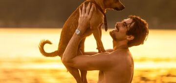 Por que os filmes com cachorros nos emocionam e nos fazem chorar com tanta facilidade?